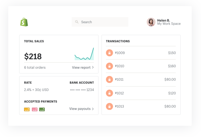 Shopify online payments dashboard example